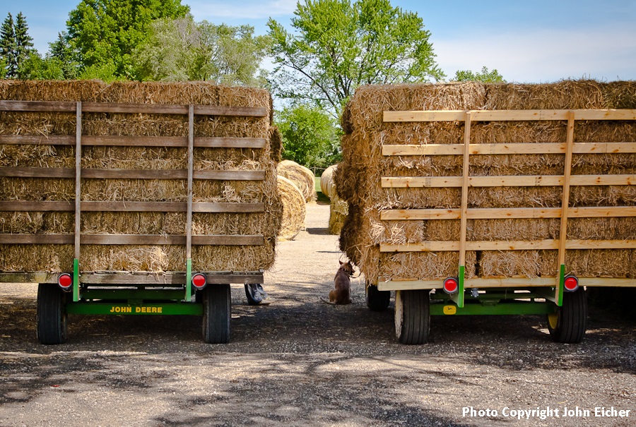 Hay Kalona Sales Barn